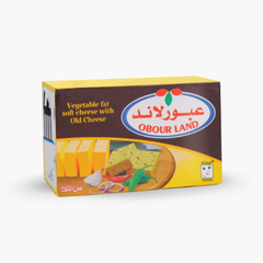 Obour Land soft cheese with aged cheese from SANI-LLC in a 250g package, showing the creamy cheese texture.