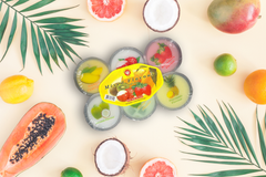 RED DIAMOND Halal ØÙ„ال PUDDING WITH NATA DE COCO (Product of Malaysia) / 6cups-3.5oz (100g) - SANI-LLC