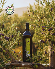 Masclianae Extra Virgin Olive Oil