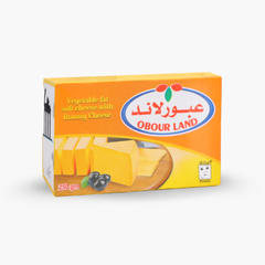 Obour Land Vegetable Fat Soft Cheese with Roumy Cheese Flavor, 250g (8.8oz), Rich and Creamy Mediterranean Style Cheese Spread, Perfect for Sandwiches, Salads, and Daily Snacks - SANI-LLC