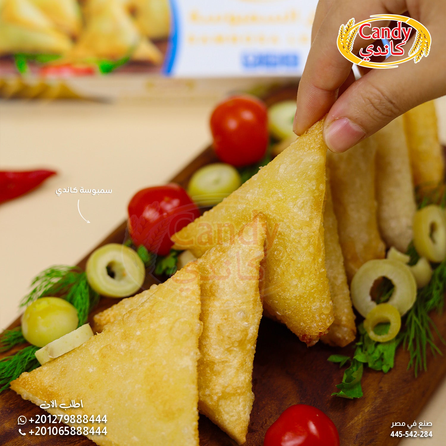 Frozen Candy brand sambosa leaves, hand-crafted vegan samosa dough sheets, ready-to-use 500g package for baking or frying.