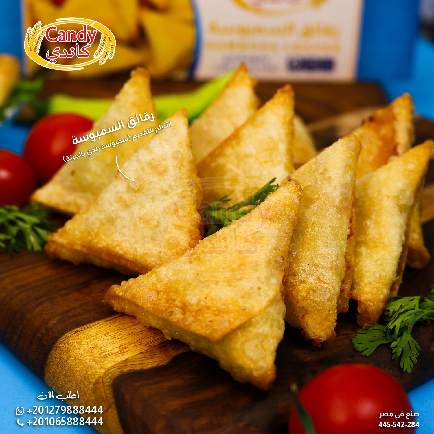 Frozen Candy brand vegan sambosa leaves, 500g of hand-crafted samosa dough sheets, ready-to-use for cooking or baking.