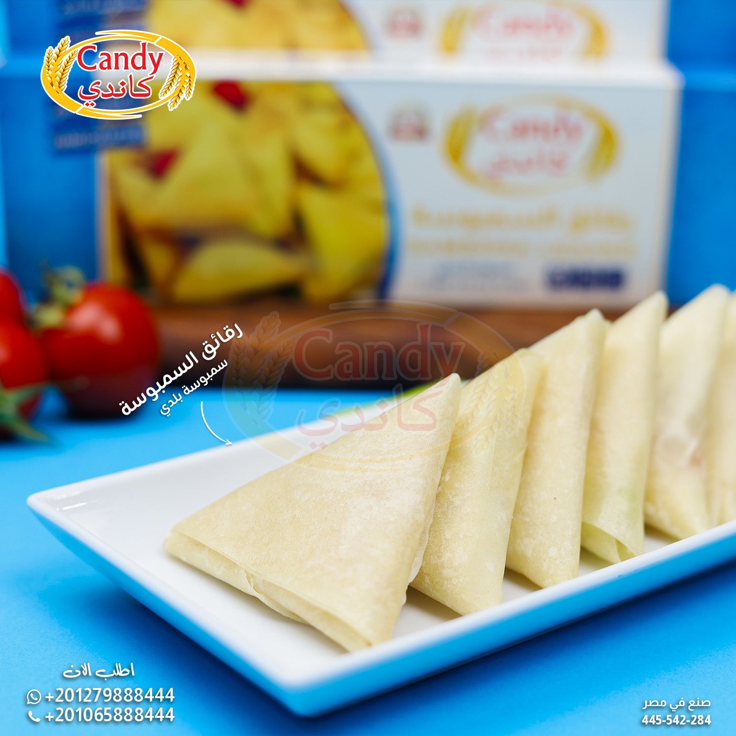 Frozen Candy brand sambosa leaves, vegan hand-crafted samosa dough sheets, ready-to-use Indian snack for cooking or baking.