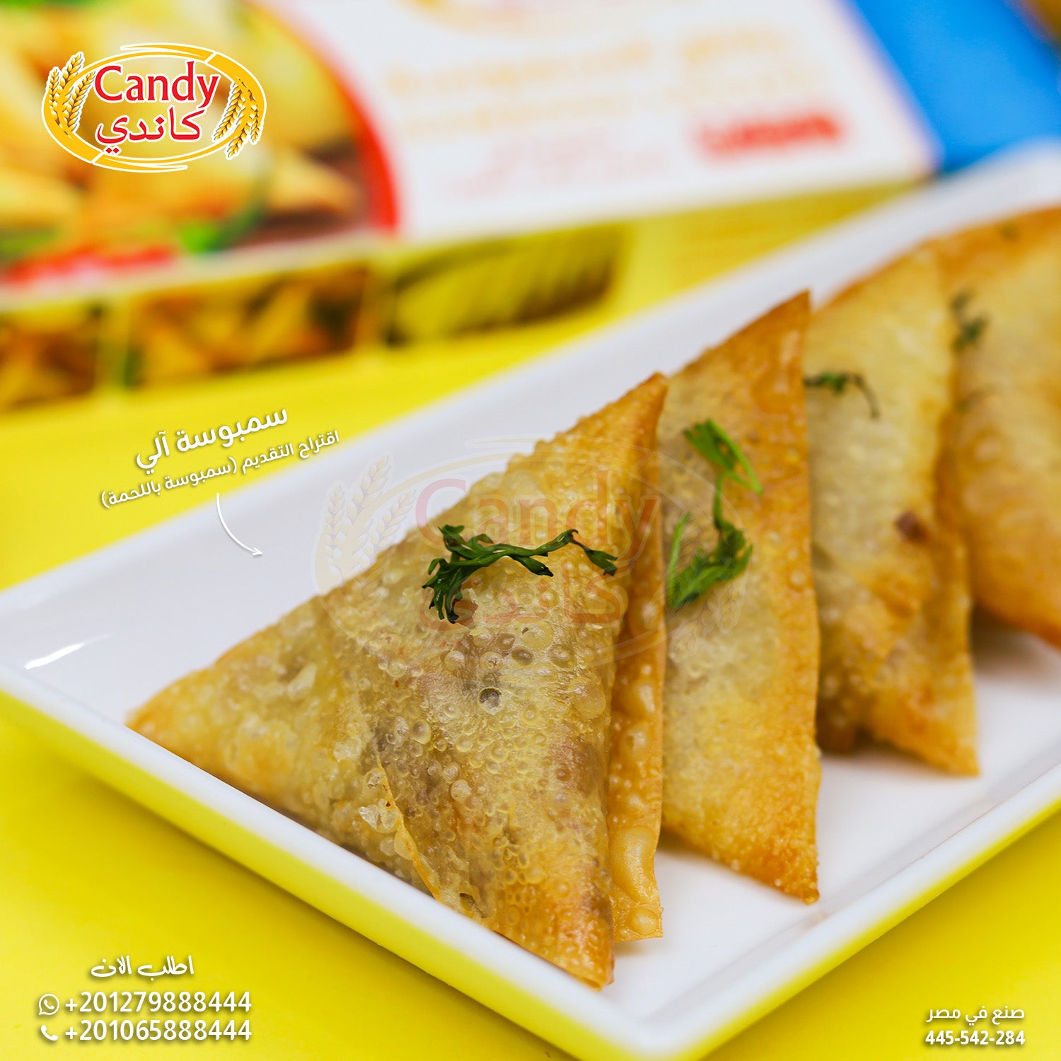 Frozen Candy brand sambosa leaves pastry sheets, 500g pack, ideal for crispy samosas, ready to use, premium pastry dough.