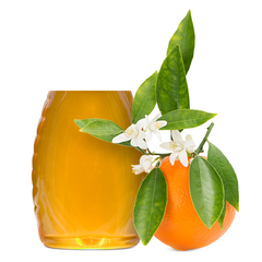 Pure Honey Orange Blossom 12 x454g - SANI-LLC