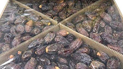 Palm Date Gardens ÃƒÂ¢Ã¢â‚¬Å¾Ã‚Â¢ÃƒÂ¯Ã‚Â¸Ã‚ÂÃƒÂ°Ã…Â¸Ã‚ÂÃ¢â‚¬Â¦ | PALESTINE Medjool DatesÃƒÂ¢Ã…â€œÃ¢â‚¬ÂÃƒÂ¯Ã‚Â¸Ã‚Â| 2020 Crop Harvest, New Fresh Dates| 100% All Natural , No Additives , No Preservatives | 5Kg 11 lb Pack (Green) Box ÃƒÂ¢Ã…â€œÃ¢â‚¬ÂÃƒÂ¯Ã‚Â¸Ã‚Â - SANI-LLC