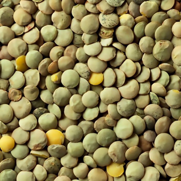 CLIC Laird Green lentils - SANI-LLC