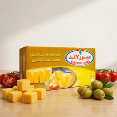 Obour Land Soft Cheddar flavor cheese spread in 500g container, creamy and smooth for meals and snacks.