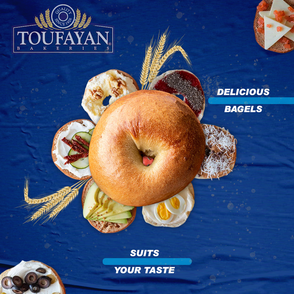Toufayan Bagels Classic Plain 9G 6 bagels 20oz - SANI-LLC